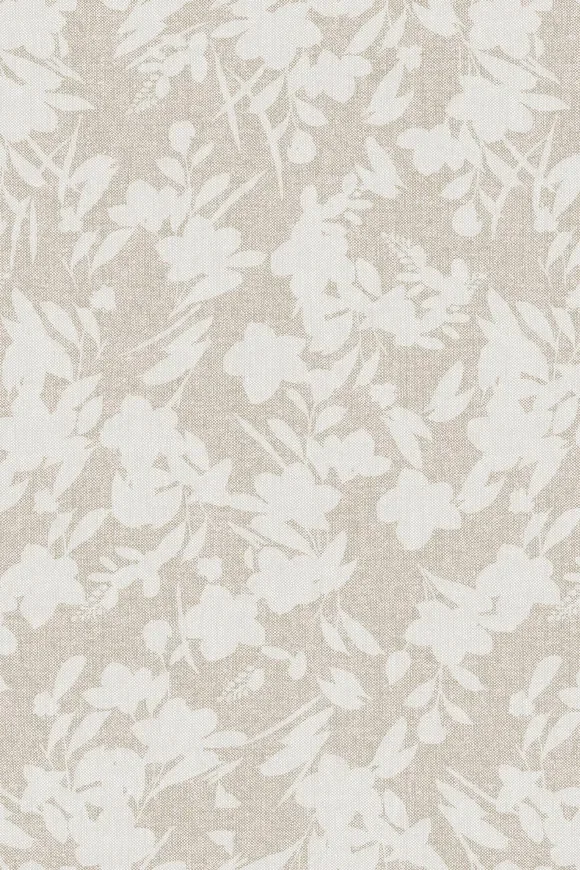 Bouton D'or Mistral — Ảnh 2