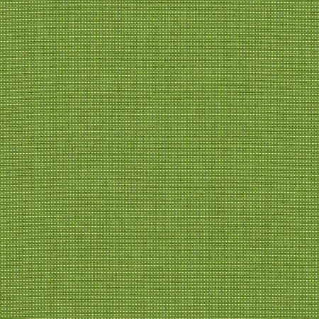 CHARTRES MINT — Ảnh 2