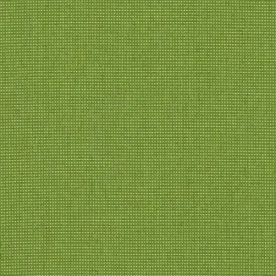 BENGALI BAMBOO