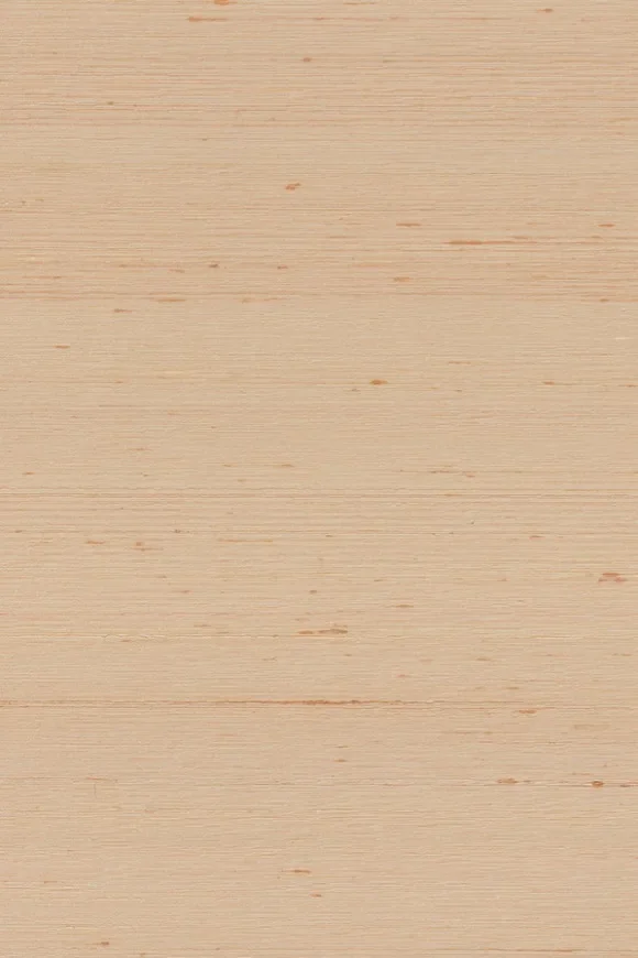 Dupion Champagne — Ảnh 2