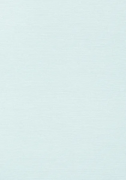 Taluk Sisal Wallpaper T284 — Ảnh 2