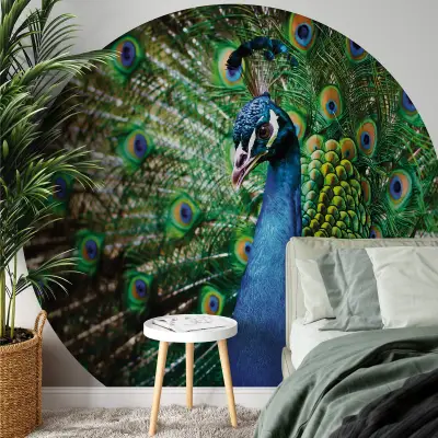 Beautiful Peacock - Wall Mural 5490 - Round - 144cm diameter
