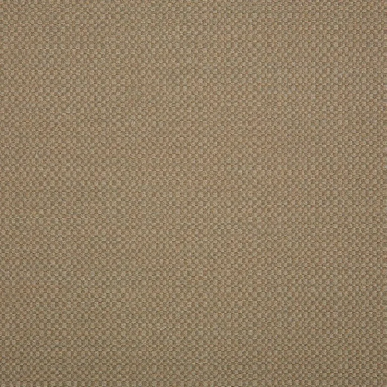 ACTION TAUPE