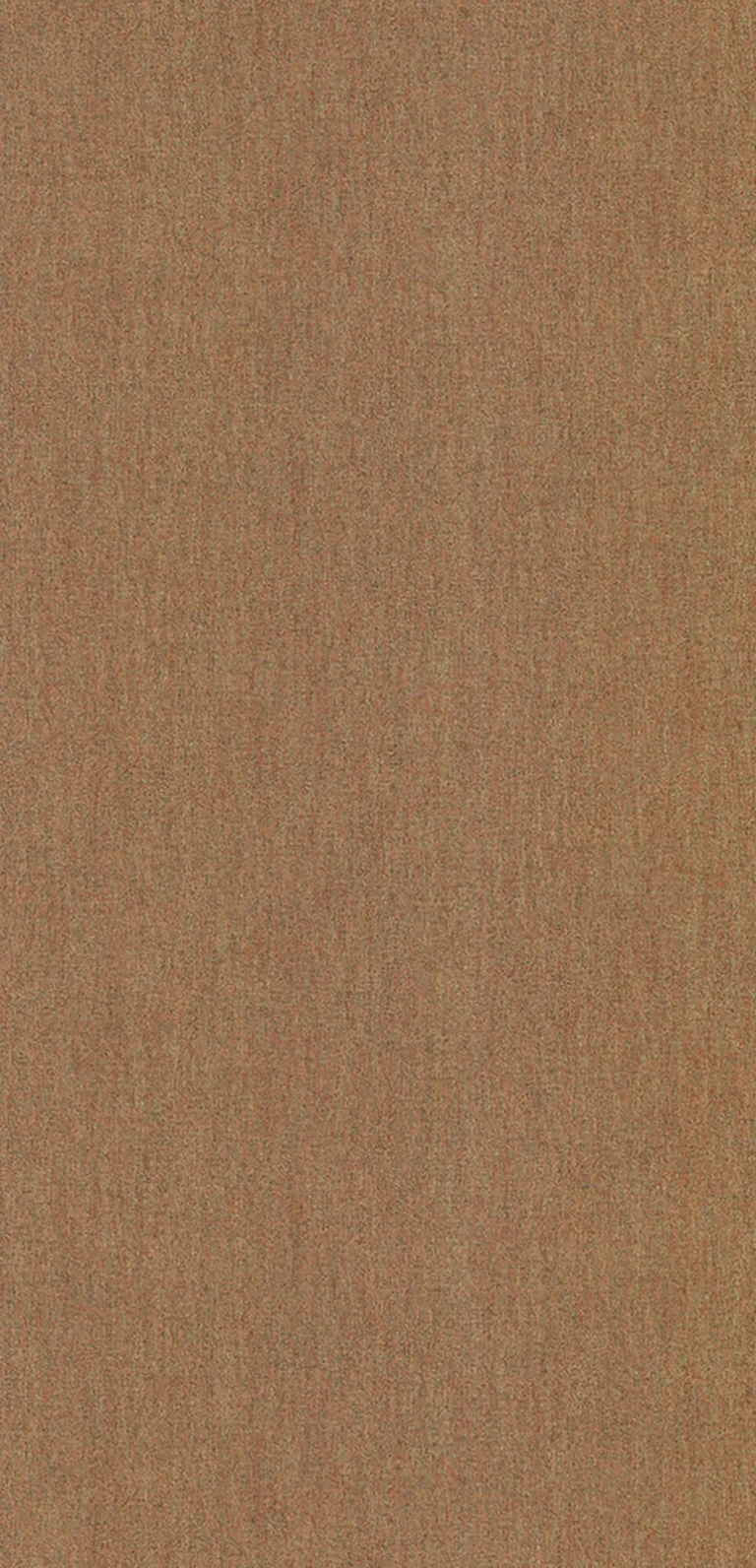 Lin Bellini — Ảnh 4