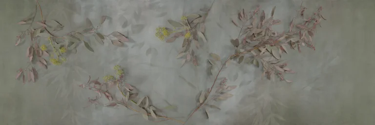 Subito Notte — Ảnh 2