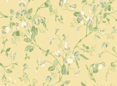 Sweet Pea Archive Anthology S100 6029 — Ảnh 2