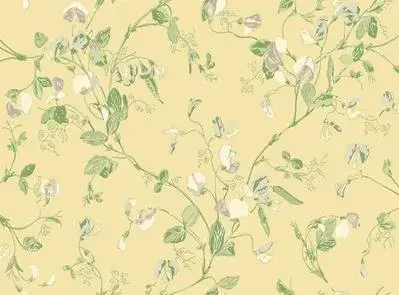 Sweet Pea Archive Anthology S100 6029