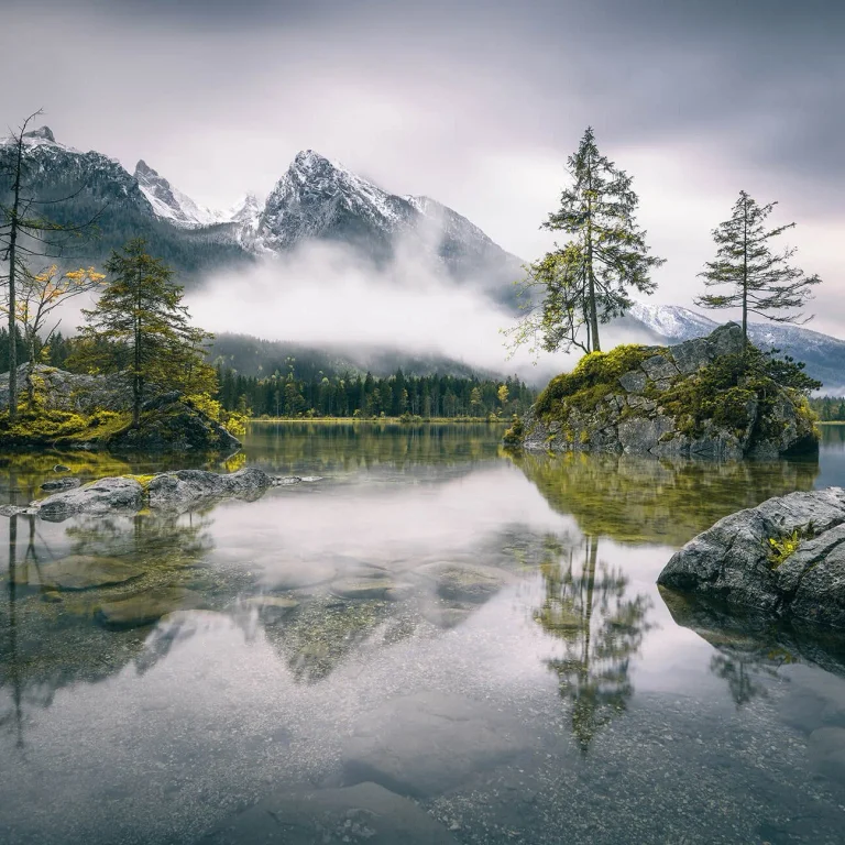 Foggy Day - Wall Mural 5441 - 4 Panel - 192cm x 260cm — Image 4