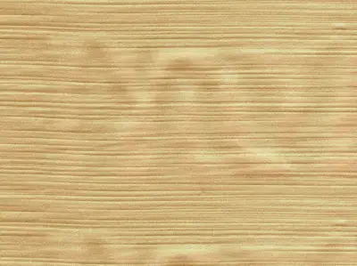 Silk 210501-1