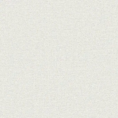 The Basic - White Beige Tone PT.02