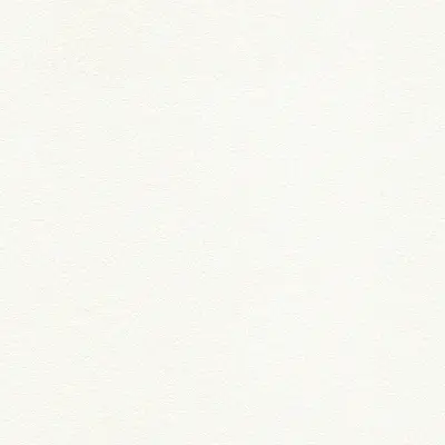 The Basic - White Beige Tone PT.01