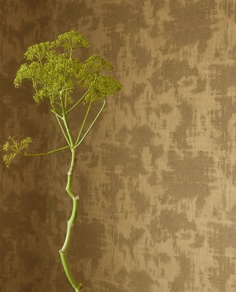 Canvas 313525 — Image 3