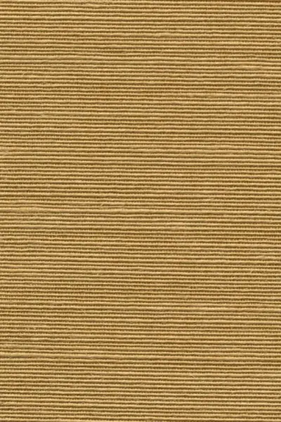 Agave — Hazelnut