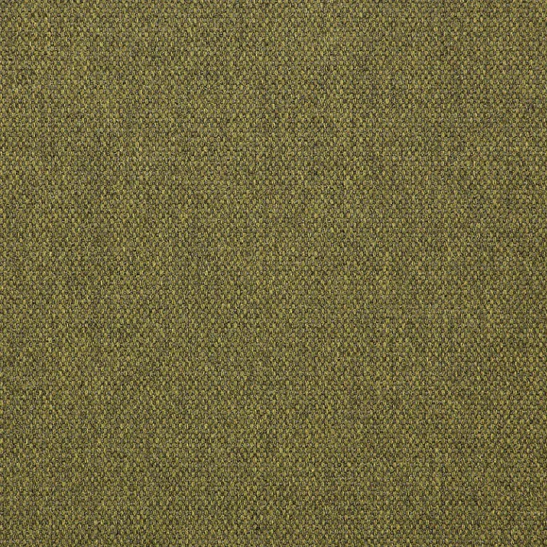 BLEND CACTUS