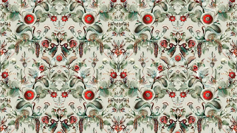 Coccinella Bella Stone Grey — Ảnh 6
