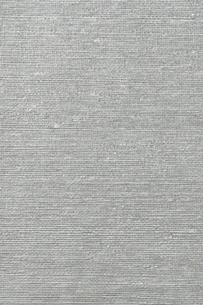 Micron