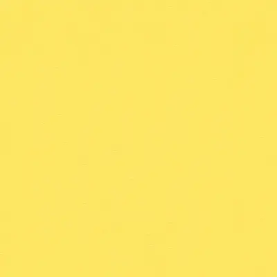 The Basic - Yellow Orange Tone