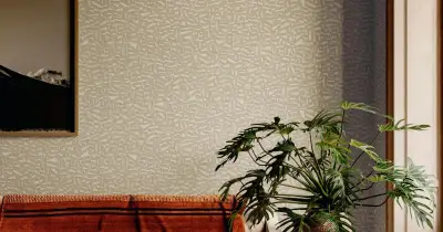 Kona — Champagne (81561A)