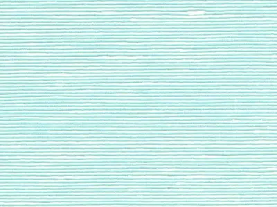 Stripe Sequin Weaving 20020725