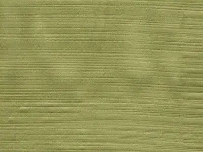 Silk 210501-19
