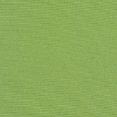 CANVAS GINKGO