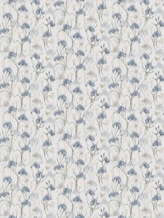 Iris Sky Blue — Ảnh 4