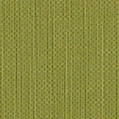 CANVAS LICHEN