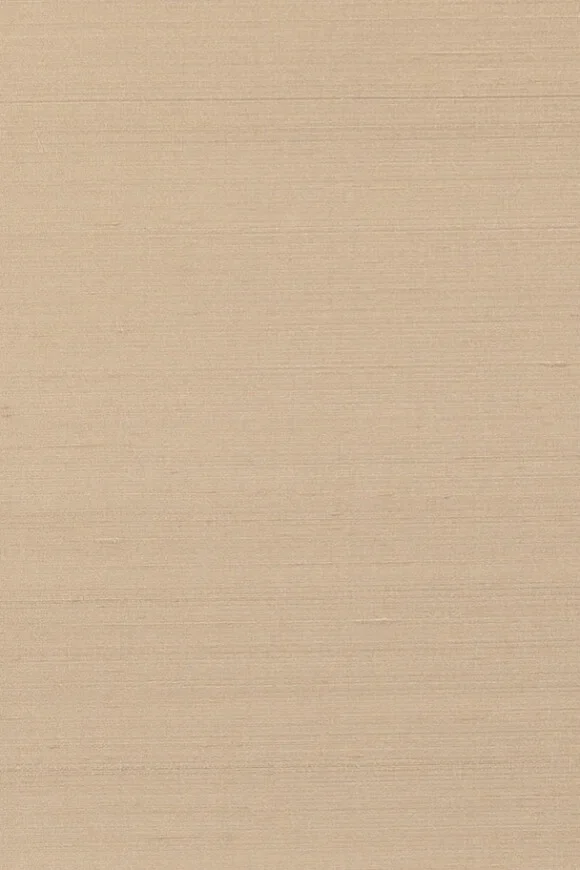Papillon Beige — Ảnh 2