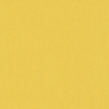CANVAS LEMON