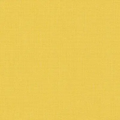 CANVAS LEMON