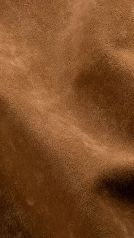 Bonario Amber Upholstery Fabric - 100