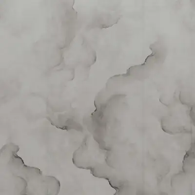 Digital Murals Flight