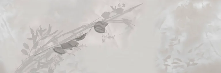 Tenera È L’alba — Ảnh 2