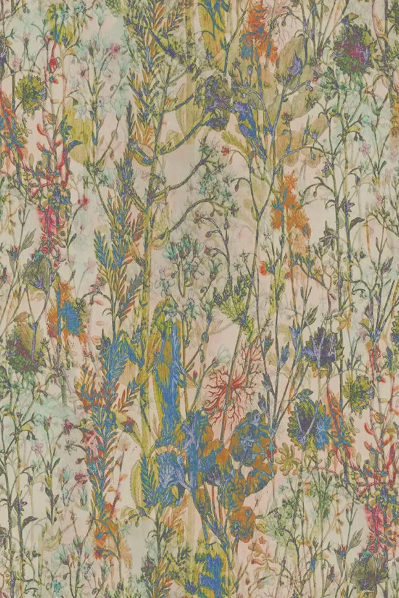 Wildflower 29541 — Ảnh 2