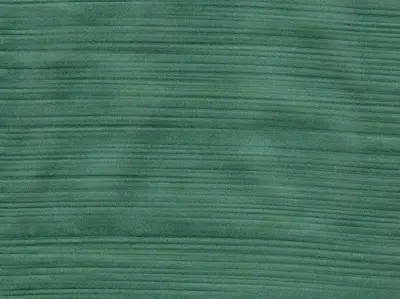 Silk 210501-29