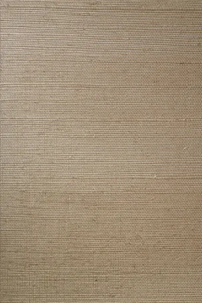 Line — Beige