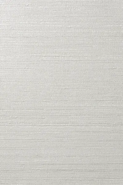 Silkx Raw