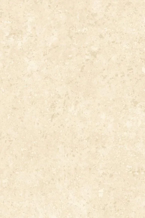 Calcaire Stucco Cream — Ảnh 2
