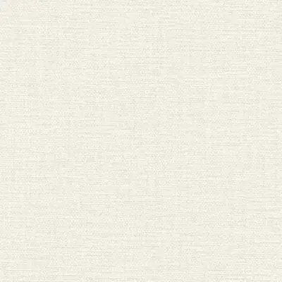 The Basic - White Beige Tone PT.02