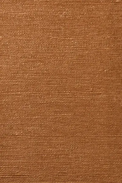 Micron