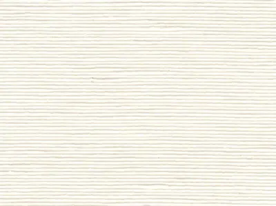 Stripe Sequin Weaving 20020711