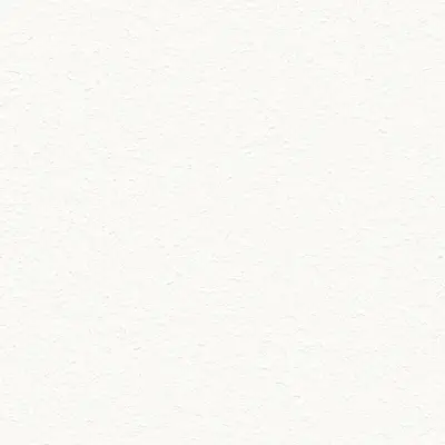 The Basic - White Beige Tone PT.02