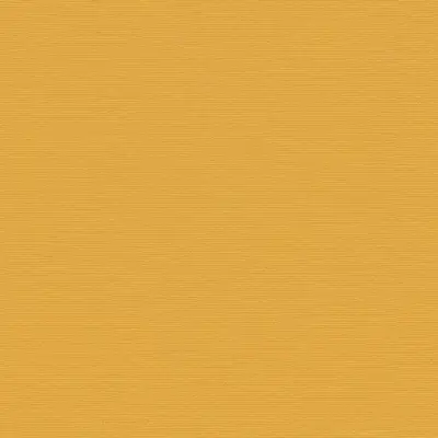 The Basic - Yellow Orange Tone