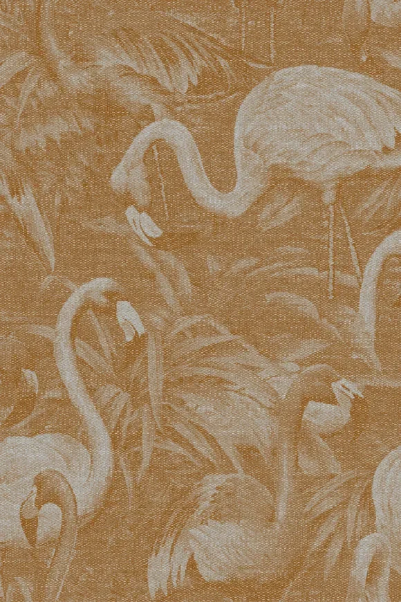 Flamencos Andinos Marigold — Ảnh 2