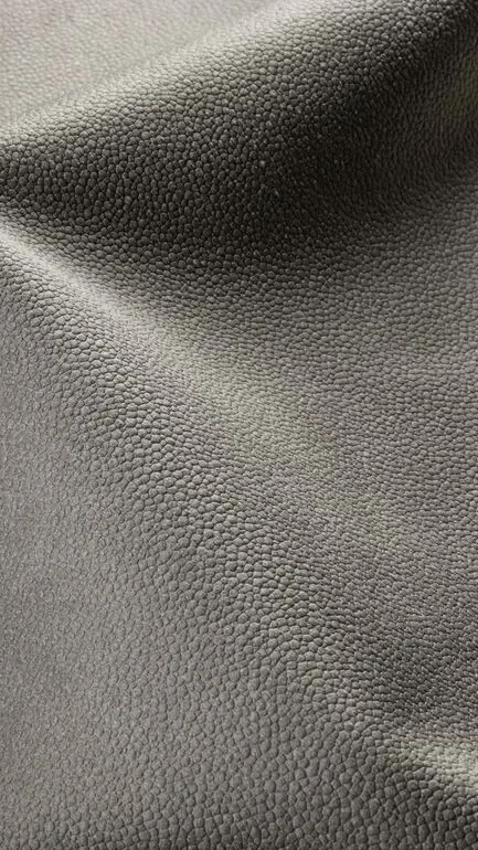 Bonario Gaucho Upholstery Fabric - 805