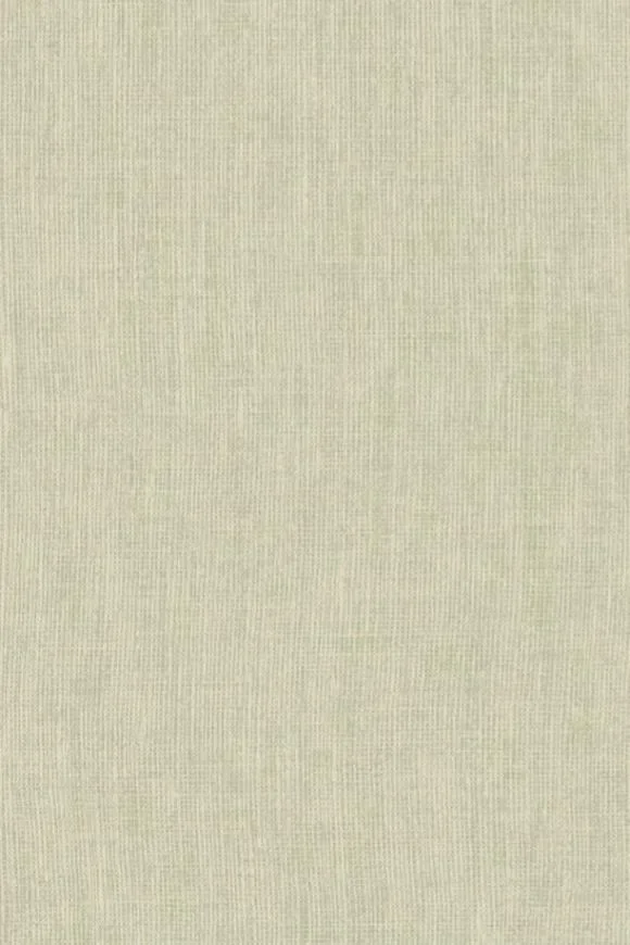 Lin Normandie Neptune — Image 2