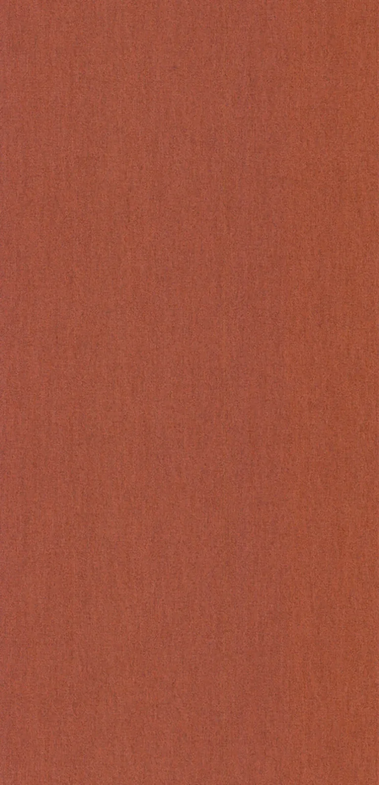 Lin Tangerine — Ảnh 4