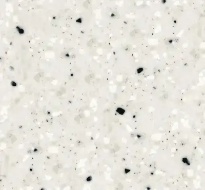 G071 DALMATIAN