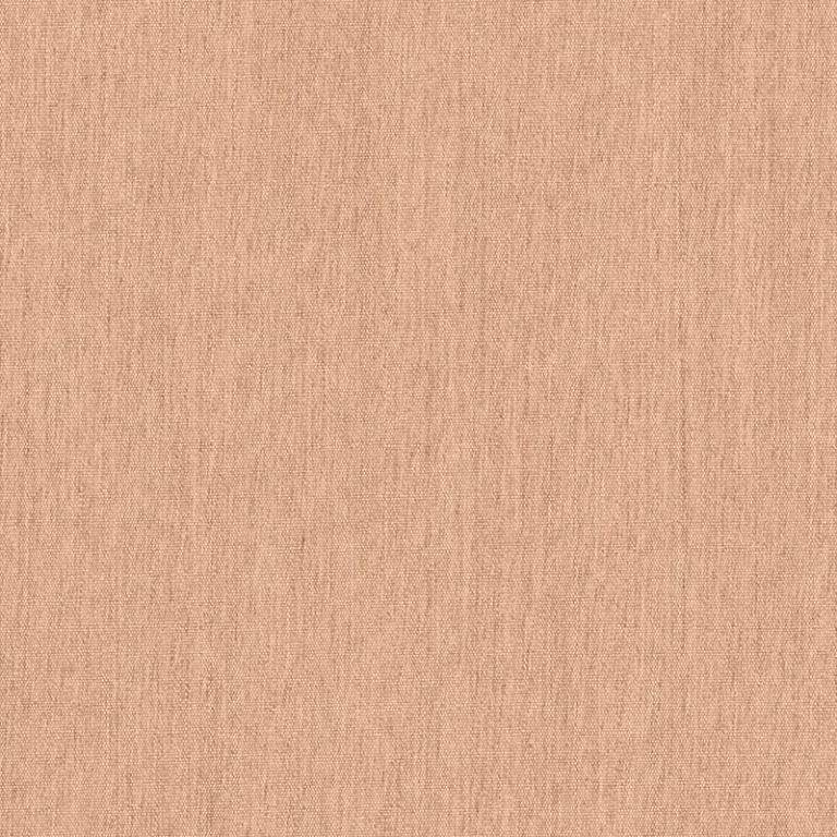 CANVAS PEACH