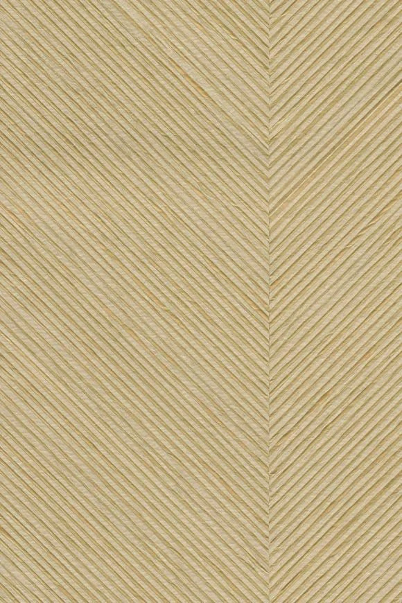 Kinisi Sunlight Gold — Ảnh 2